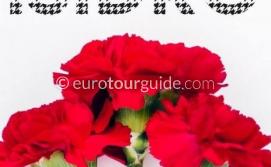 Bigastro San Isidro Fiesta 18th May 2019