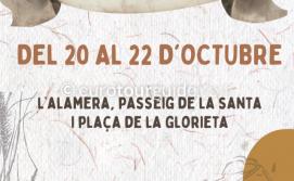 EuroTourGuide Coach Tours Tibi Craft Fair 