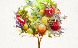 EuroTourGuide Vall de Gallinera Cherry Fiesta