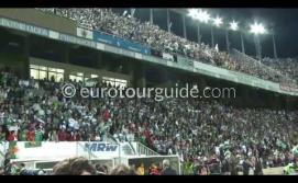 Resumen de la celebración del ascenso del Elche CF a la Primera División 2013