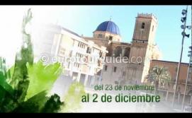 Elche con todos los sentidos