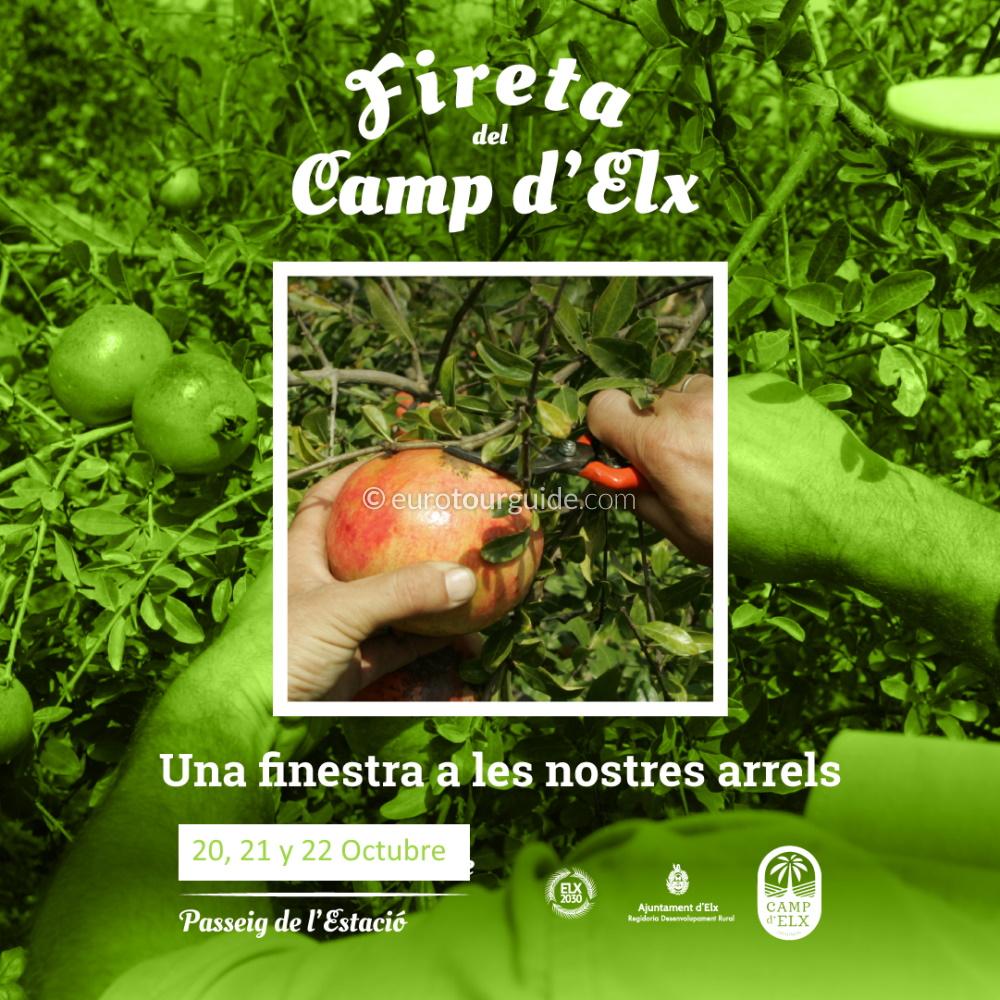 EuroTourGuide Coach Trips Elche Fireta del Camp EuroTourGuide Coach Trips Elche Fireta del Camp