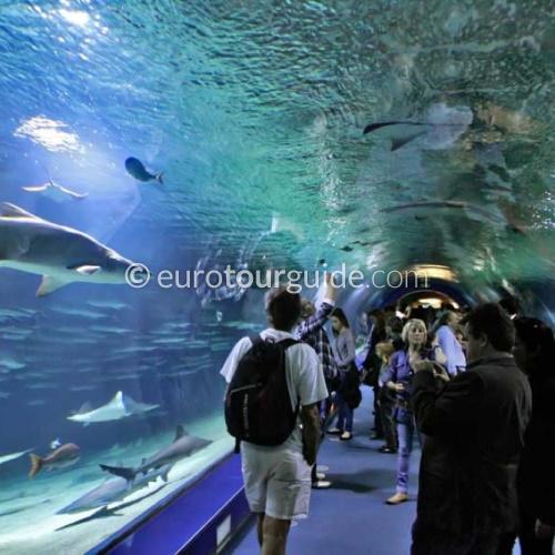 EuroTourGuide Coach Tours Valencia & Sant Josep Caves EuroTourGuide Coach Tours Valencia & Sant Josep Caves