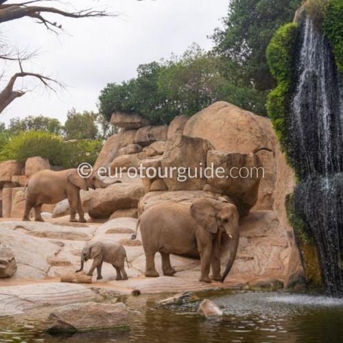 EuroTourGuide Coach Tours Valencia & Sant Josep Caves EuroTourGuide Coach Tours Valencia & Sant Josep Caves